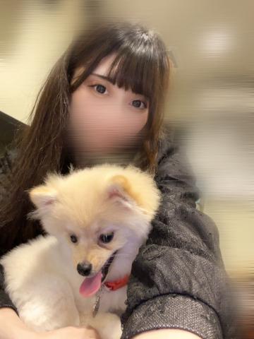 犬<img class="emojione" alt="🐶" title=":dog:" src="https://fuzoku.jp/assets/img/emojione/1f436.png"/>