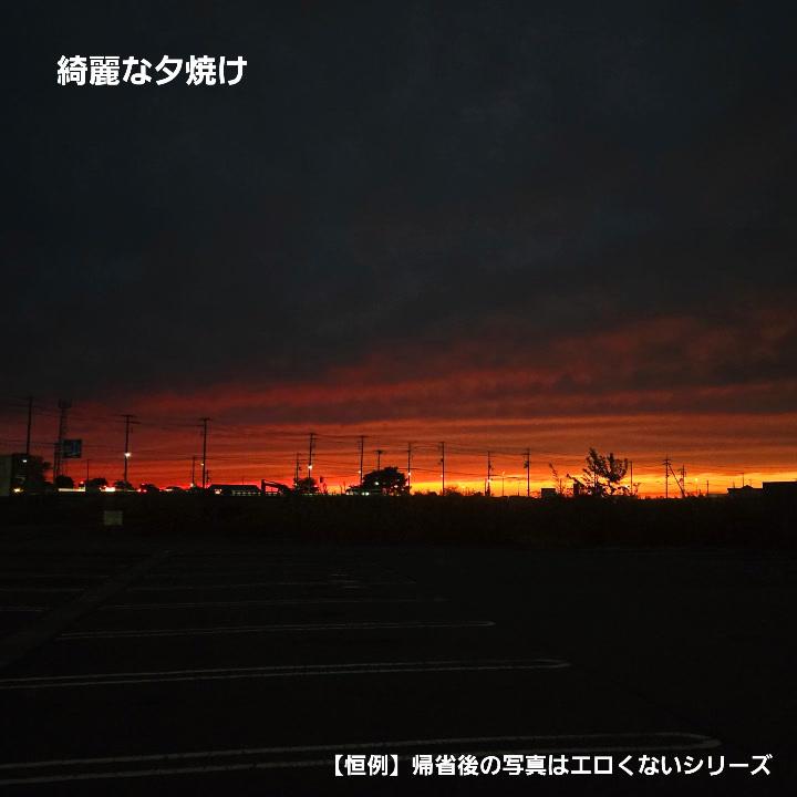 生存しております