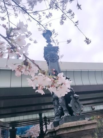 暖かいですね春<img class="emojione" alt="🌸" title=":cherry_blossom:" src="https://fuzoku.jp/assets/img/emojione/1f338.png"/>