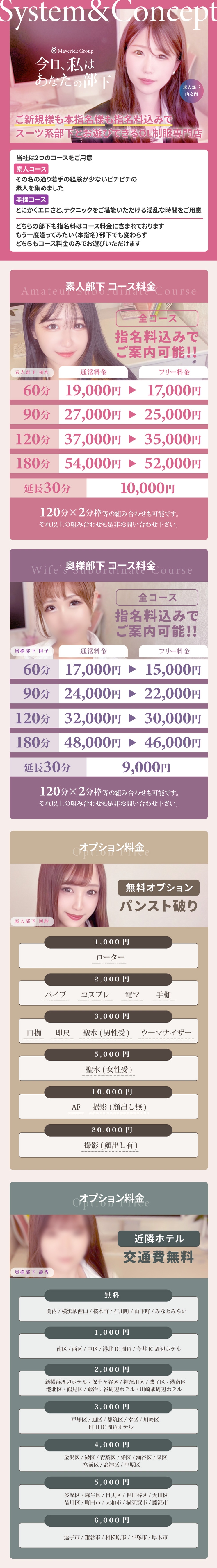 今日、私はあなたの部下（マーベリックグループ）＿料金システム1