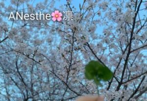 <img class="emojione" alt="🌸" title=":cherry_blossom:" src="https://fuzoku.jp/assets/img/emojione/1f338.png"/>thank you<img class="emojione" alt="🌸" title=":cherry_blossom:" src="https://fuzoku.jp/assets/img/emojione/1f338.png"/>
