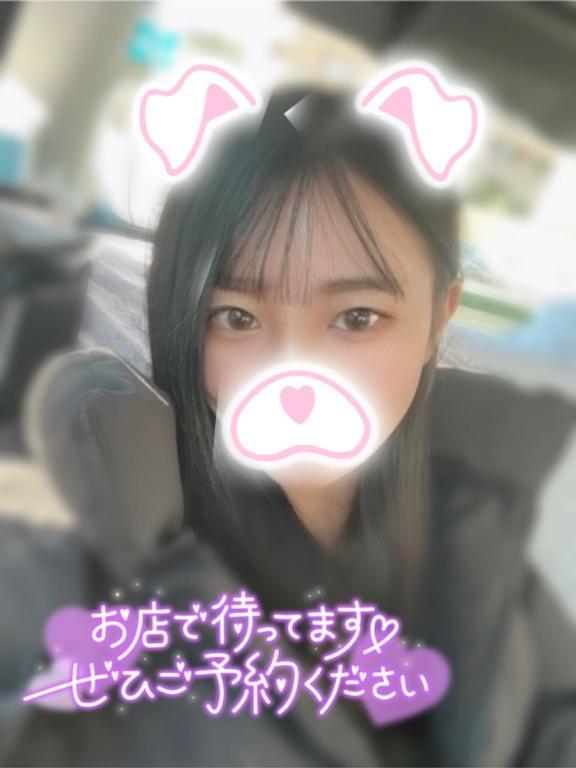 本日11時〜