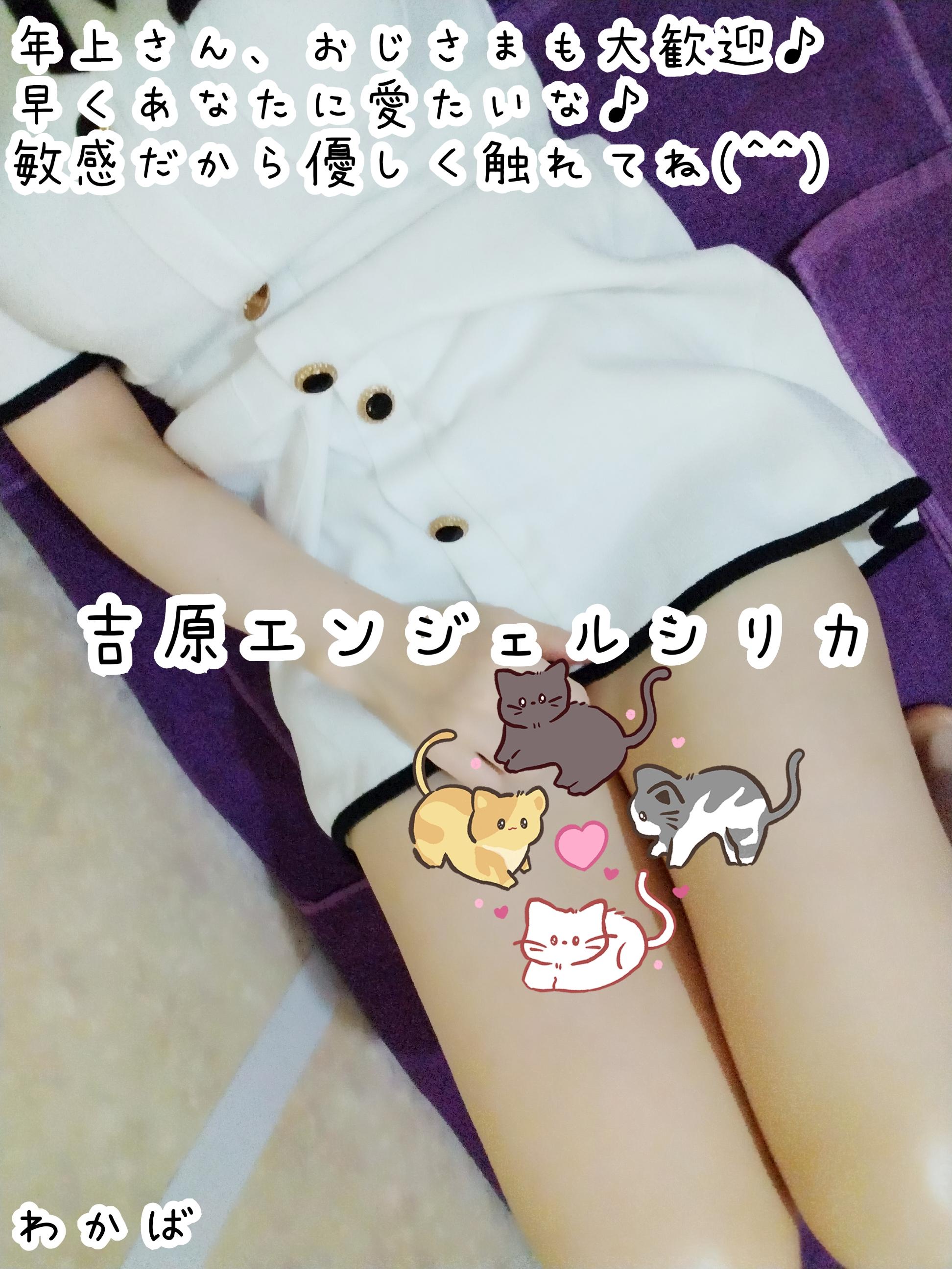 出(^^)<img class="emojione" alt="🐈" title=":cat2:" src="https://fuzoku.jp/assets/img/emojione/1f408.png"/>