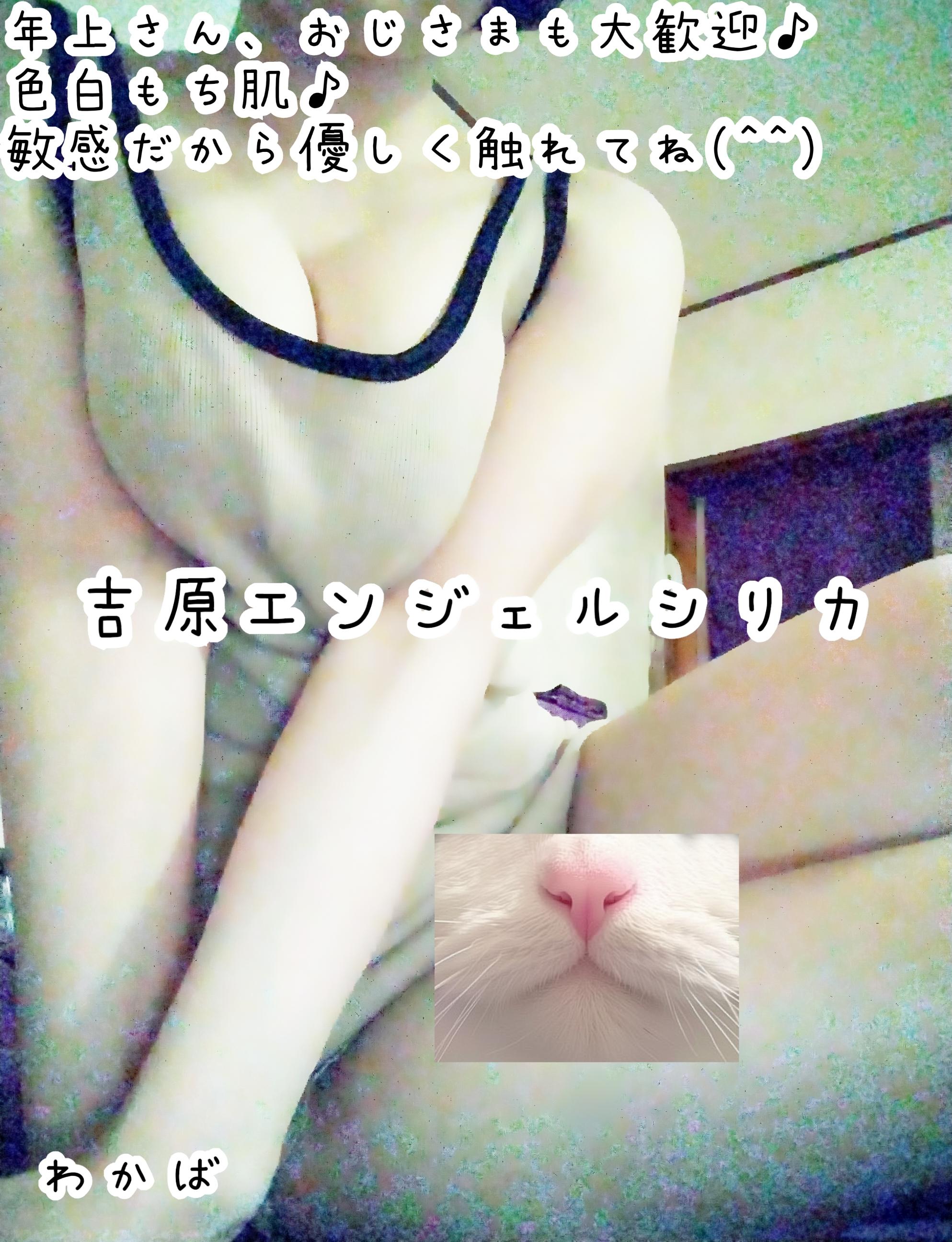 出(^^)<img class="emojione" alt="🐈" title=":cat2:" src="https://fuzoku.jp/assets/img/emojione/1f408.png"/>
