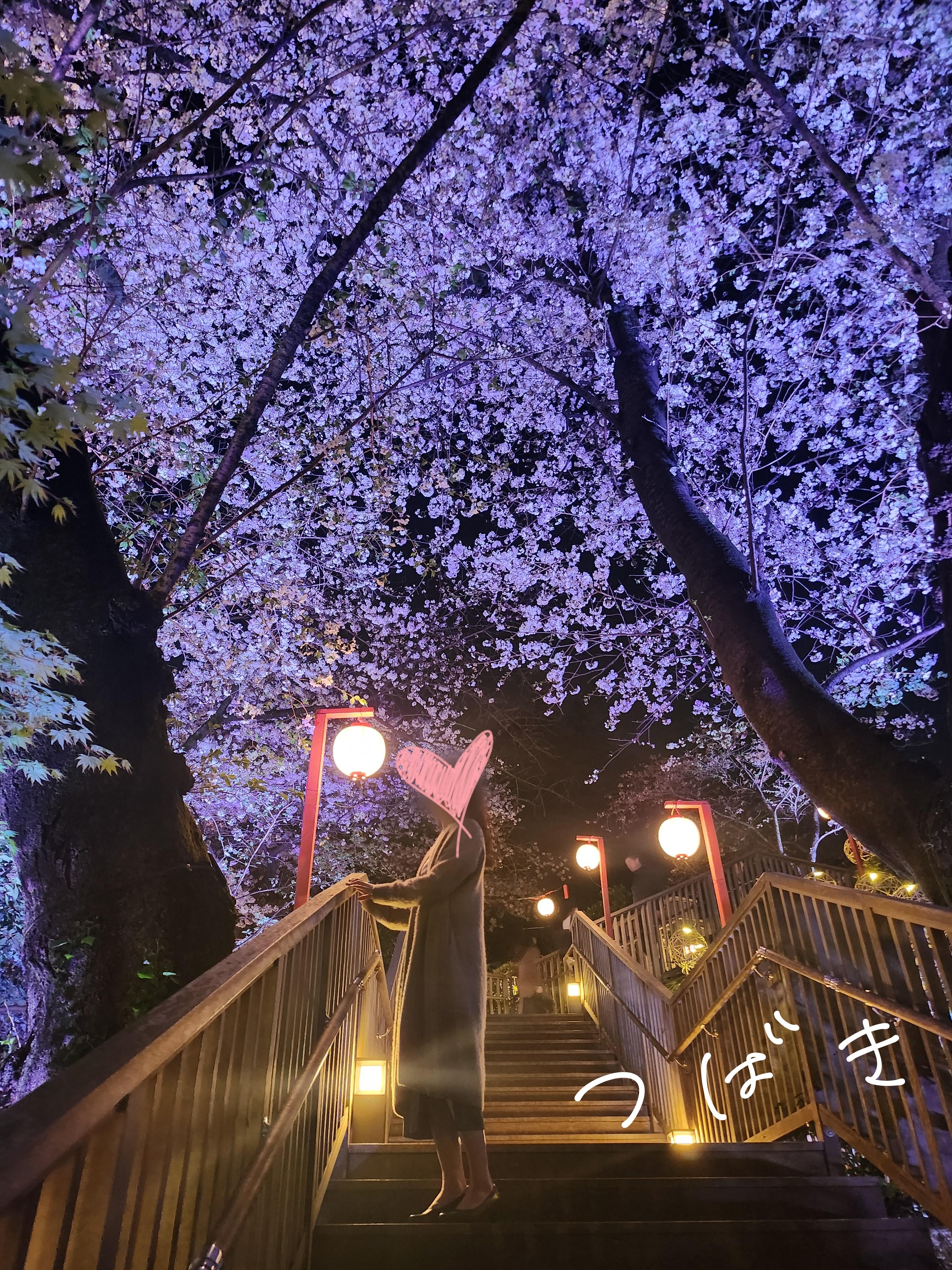 桜の名所にて<img class="emojione" alt="🌸" title=":cherry_blossom:" src="https://fuzoku.jp/assets/img/emojione/1f338.png"/>