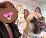 犬カフェ<img class="emojione" alt="🐶" title=":dog:" src="https://fuzoku.jp/assets/img/emojione/1f436.png"/>