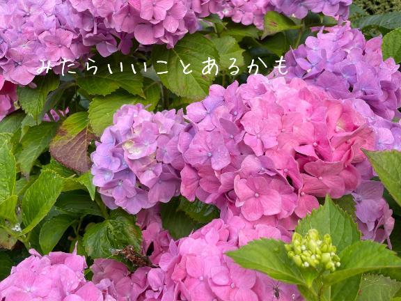 はじめました