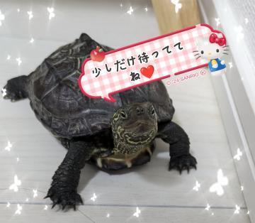 ありがとう♡