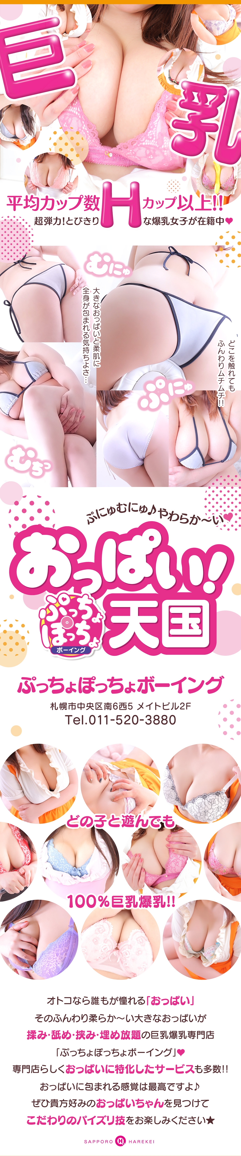 ぷっちょぽっちょボーイング（札幌ハレ系）＿料金システム2