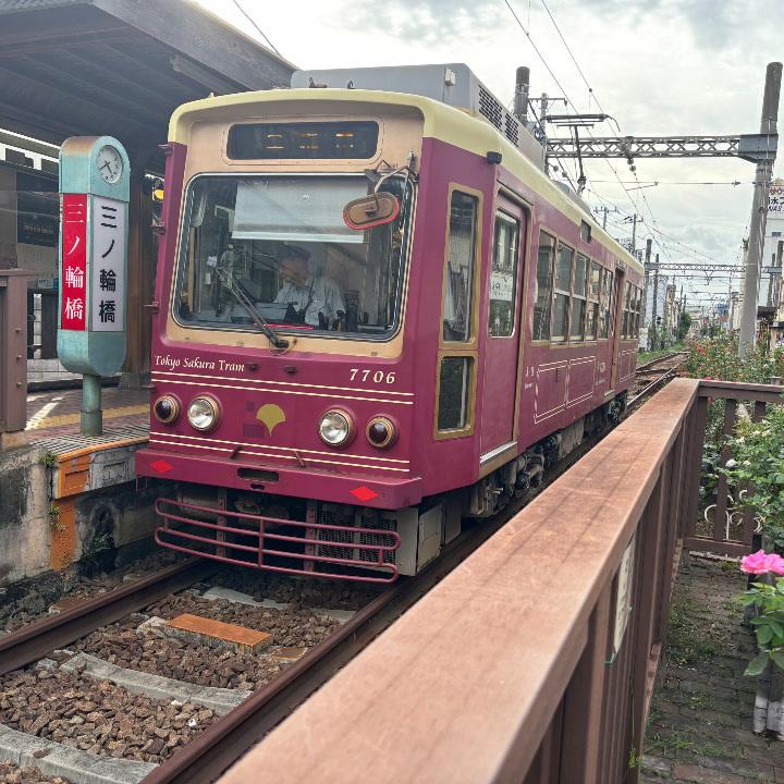 都電荒川線、乗りなさい。