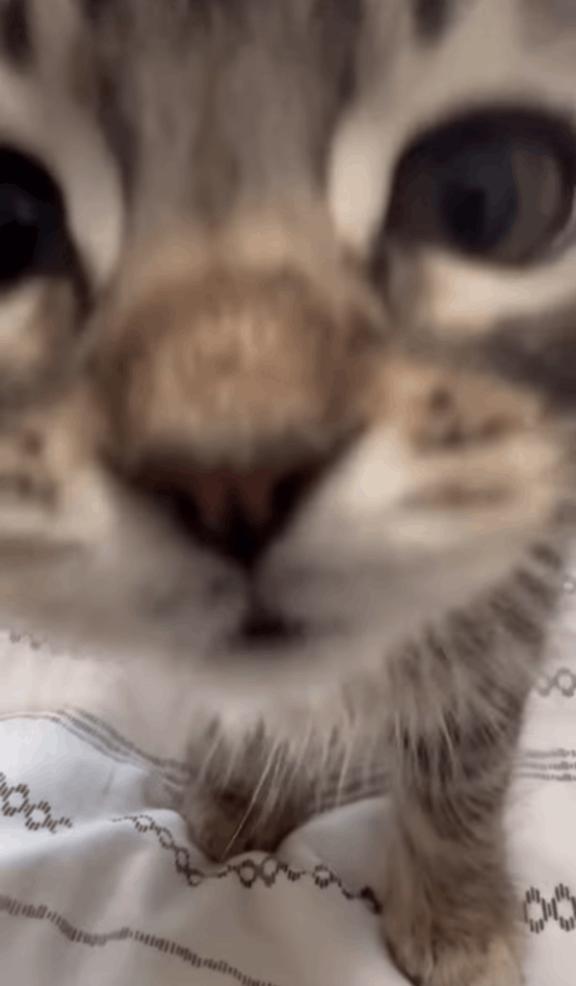 こんにちは