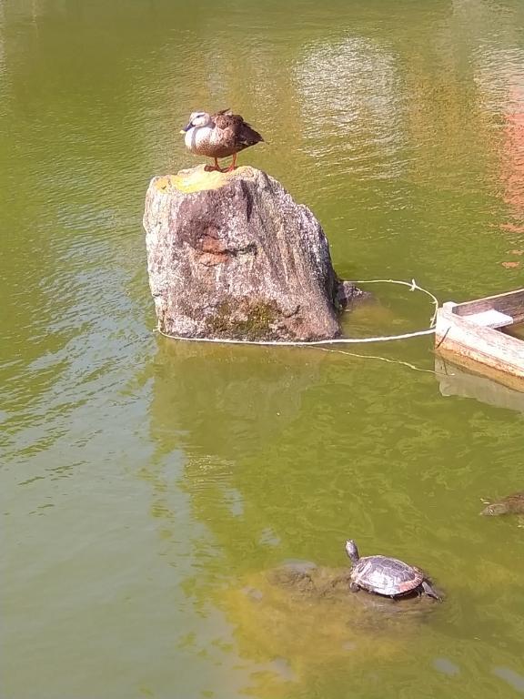 お疲れ様です