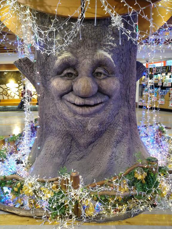 おはようございます