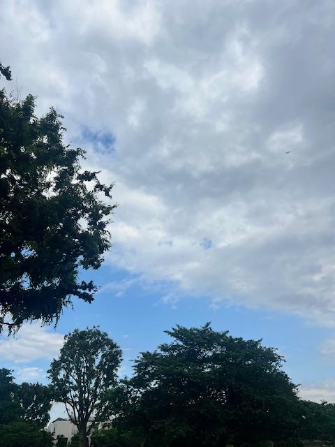 今日はチルタイム<img class="emojione" alt="🌱" title=":seedling:" src="https://fuzoku.jp/assets/img/emojione/1f331.png"/>
