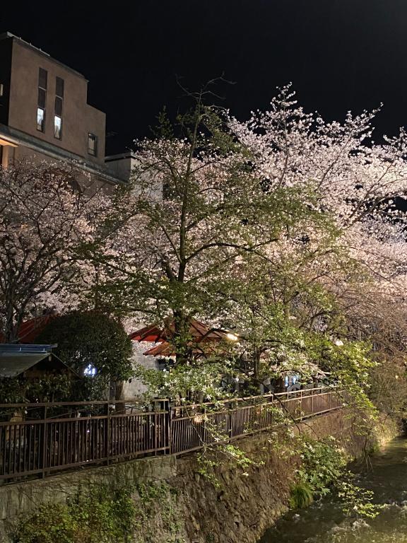 もえです