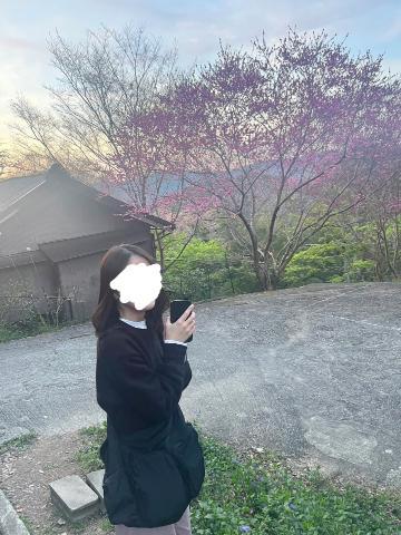 初めての吉野山<img class="emojione" alt="🌸" title=":cherry_blossom:" src="https://fuzoku.jp/assets/img/emojione/1f338.png"/>