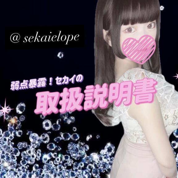 🩷セカイのトリセツ🩷