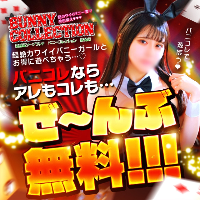 バニーコレクション新潟店＿料金システム1