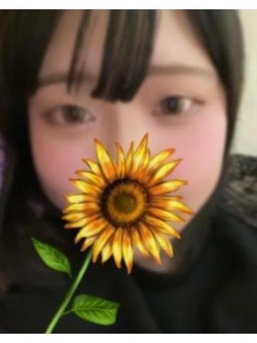 出勤しました<img class="emojione" alt="🌻" title=":sunflower:" src="https://fuzoku.jp/assets/img/emojione/1f33b.png"/>