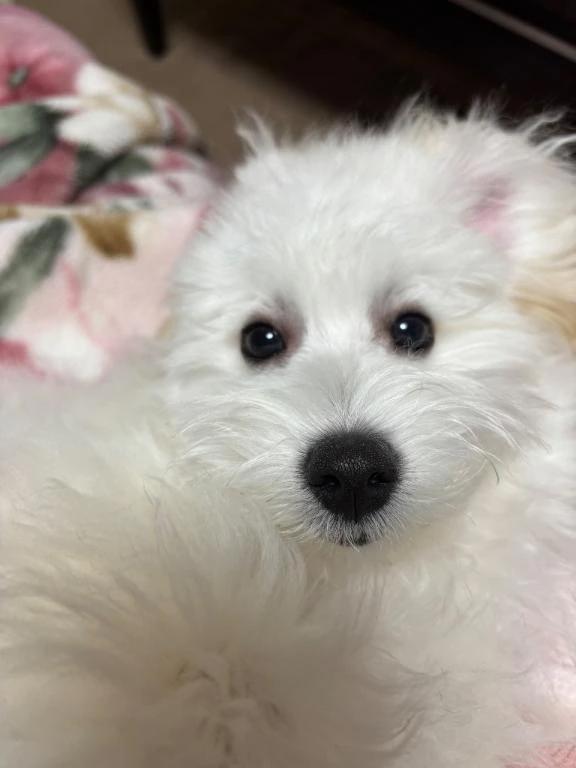 <img class="emojione" alt="🙂" title=":slight_smile:" src="https://fuzoku.jp/assets/img/emojione/1f642.png"/>&zwj;<img class="emojione" alt="↕️" title=":arrow_up_down:" src="https://fuzoku.jp/assets/img/emojione/2195.png"/>