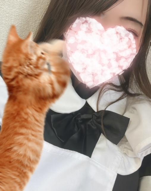 出勤しました<img class="emojione" alt="🐈" title=":cat2:" src="https://fuzoku.jp/assets/img/emojione/1f408.png"/><img class="emojione" alt="❄️" title=":snowflake:" src="https://fuzoku.jp/assets/img/emojione/2744.png"/>