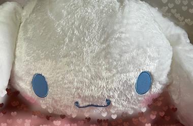 今日も沢山ありがとうー！