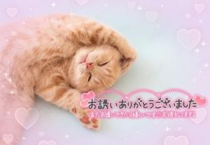 自宅のお兄さん🧸<img class="emojione" alt="💌" title=":love_letter:" src="https://fuzoku.jp/assets/img/emojione/1f48c.png"/>