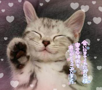 昨日のお礼🧸<img class="emojione" alt="💌" title=":love_letter:" src="https://fuzoku.jp/assets/img/emojione/1f48c.png"/>