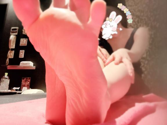 楽しみ方は…
