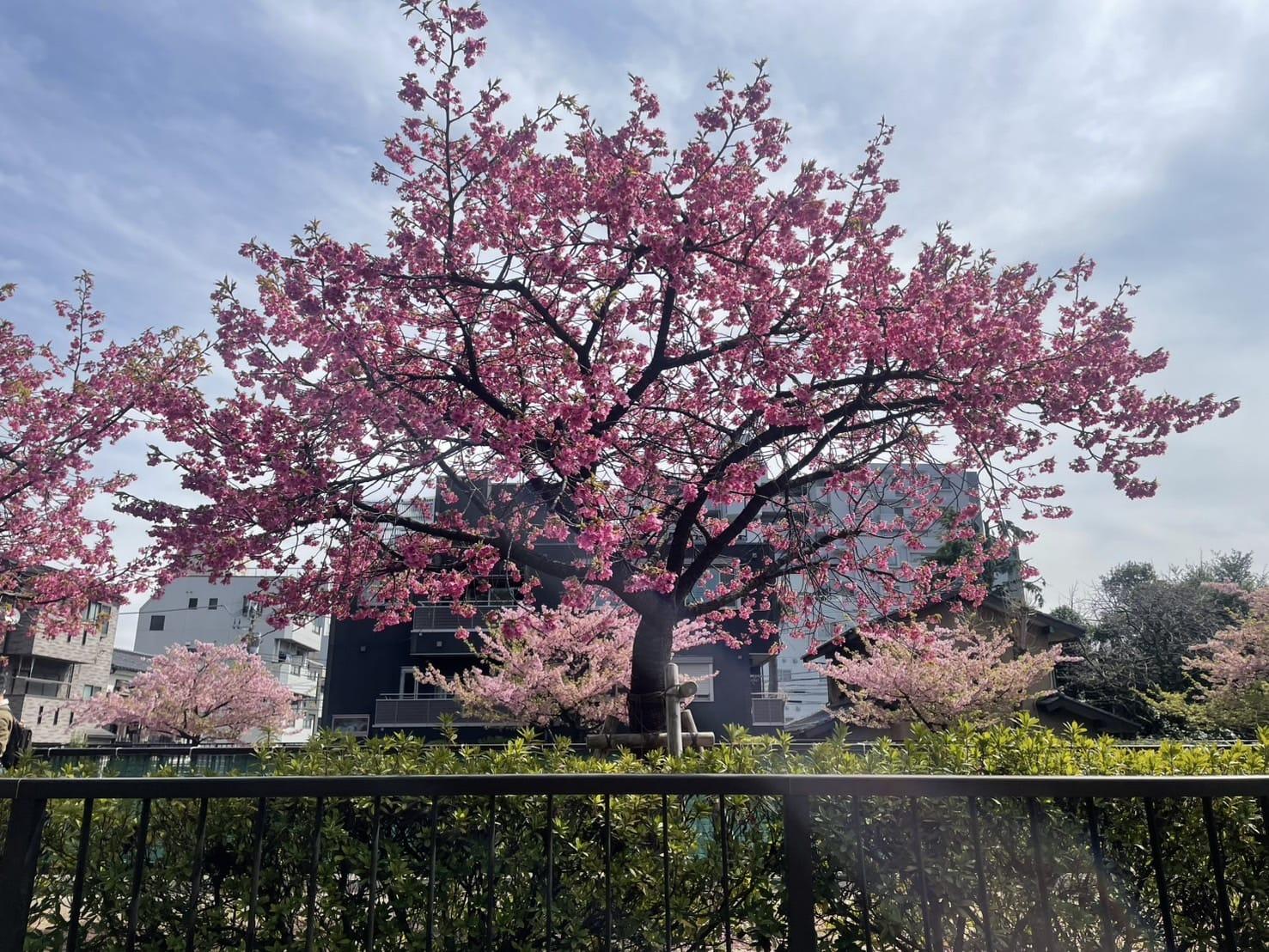 そろそろ