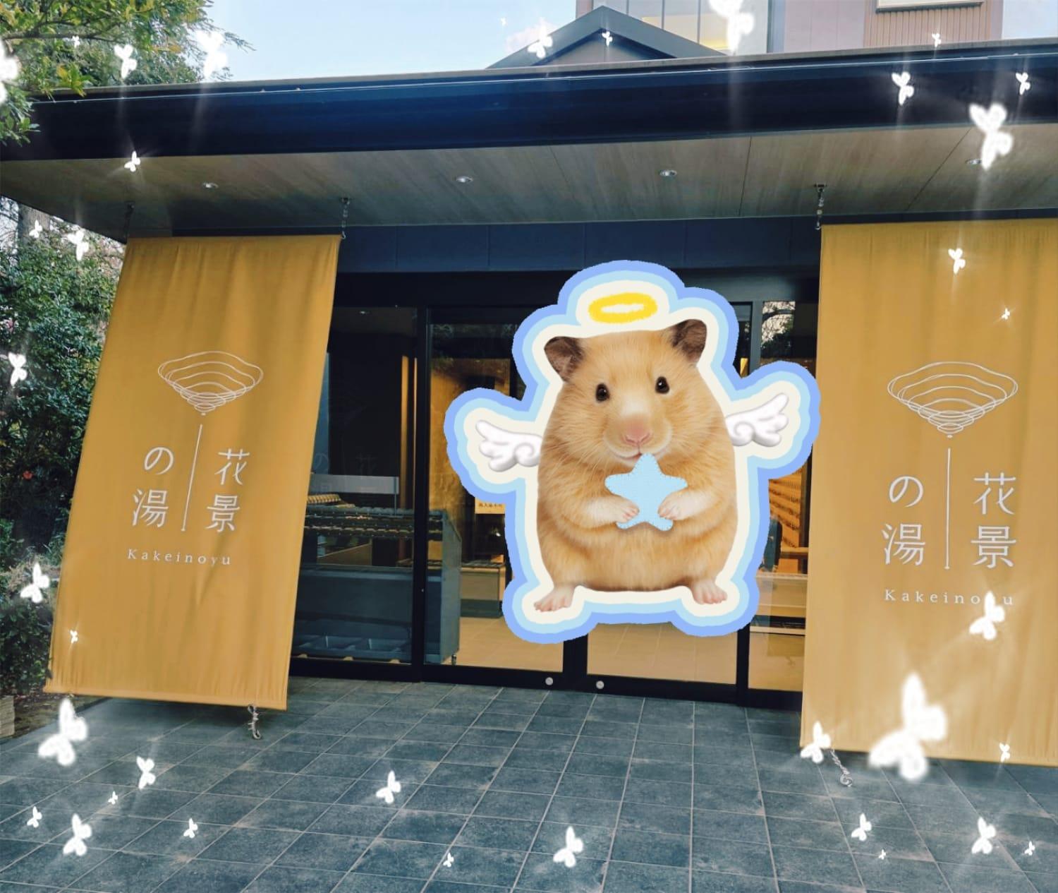 ♡またまた花景の湯★(^_-)♡♡
