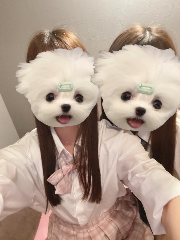 3人で<img class="emojione" alt="👨" title=":man:" src="https://fuzoku.jp/assets/img/emojione/1f468.png"/>‍<img class="emojione" alt="👩" title=":woman:" src="https://fuzoku.jp/assets/img/emojione/1f469.png"/>‍<img class="emojione" alt="👧" title=":girl:" src="https://fuzoku.jp/assets/img/emojione/1f467.png"/>︎<img class="emojione" alt="💕" title=":two_hearts:" src="https://fuzoku.jp/assets/img/emojione/1f495.png"/>︎