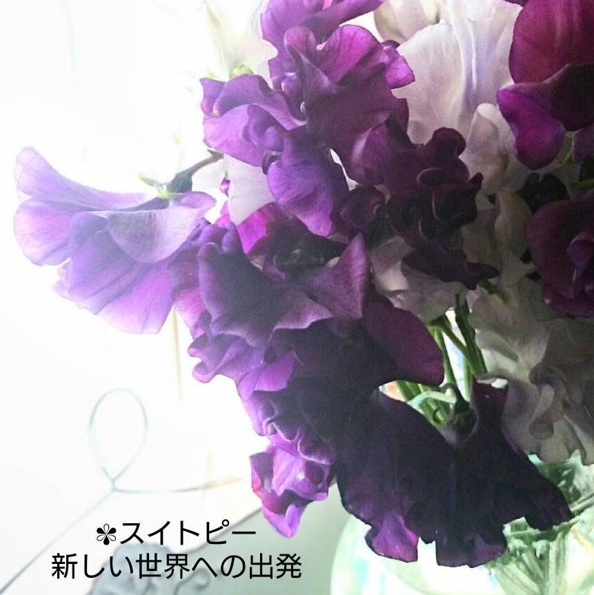 初出勤<img class="emojione" alt="🔰" title=":beginner:" src="https://fuzoku.jp/assets/img/emojione/1f530.png"/>みれい