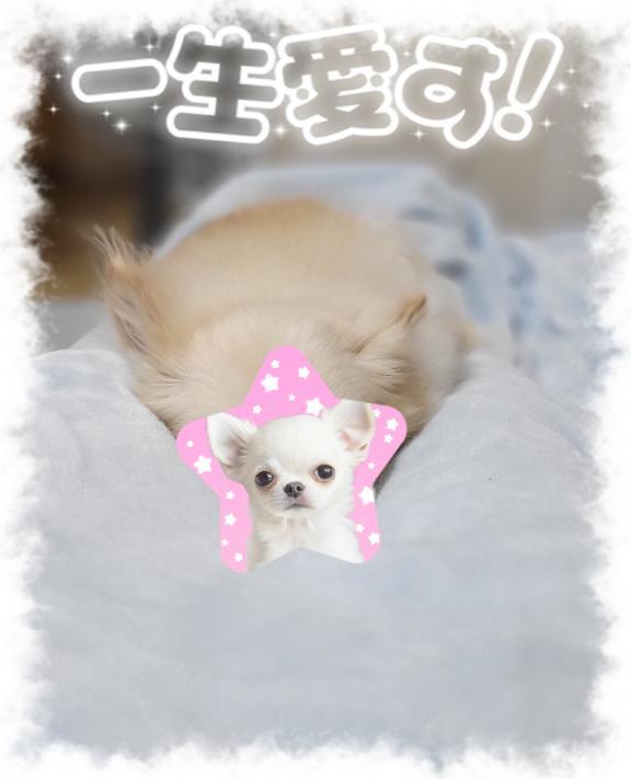 20時までいます<img class="emojione" alt="🙇" title=":person_bowing:" src="https://fuzoku.jp/assets/img/emojione/1f647.png"/>‍<img class="emojione" alt="♀️" title=":female_sign:" src="https://fuzoku.jp/assets/img/emojione/2640.png"/>