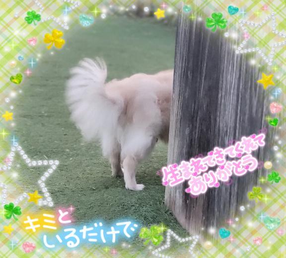 時間は有限だね…<img class="emojione" alt="💭" title=":thought_balloon:" src="https://fuzoku.jp/assets/img/emojione/1f4ad.png"/>