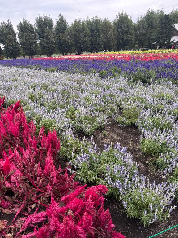 出勤予定<img class="emojione" alt="💌" title=":love_letter:" src="https://fuzoku.jp/assets/img/emojione/1f48c.png"/>