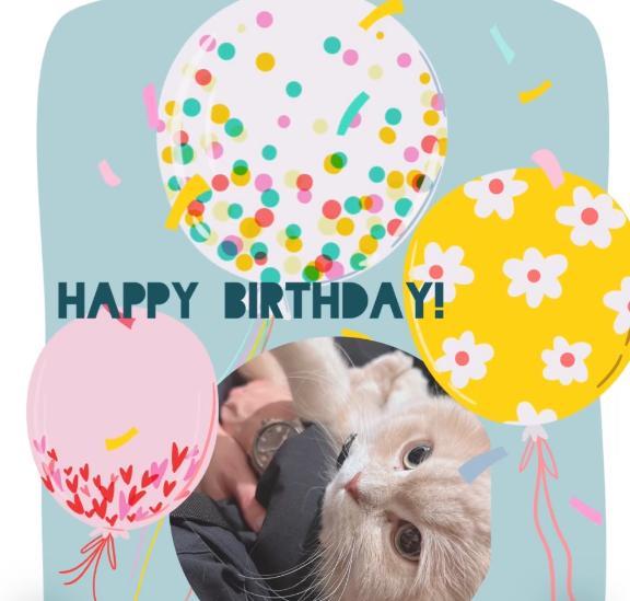 昨日はことり店長さんのお誕生日<img class="emojione" alt="🎂" title=":birthday:" src="https://fuzoku.jp/assets/img/emojione/1f382.png"/>