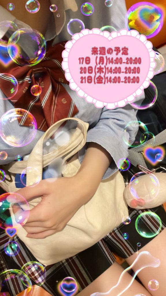 来週の予定