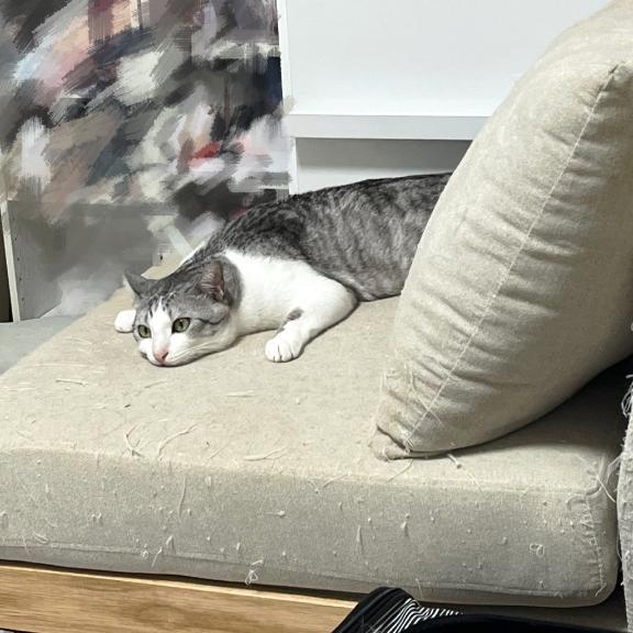 ぺったんこ
