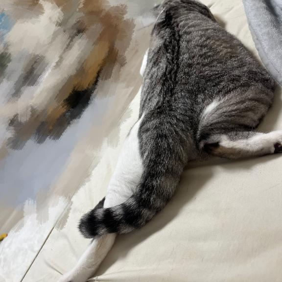 かえったよー