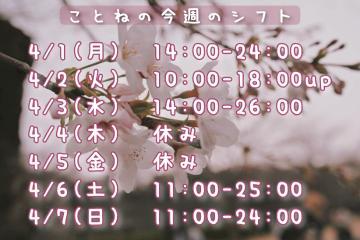 <img class="emojione" alt="🌸" title=":cherry_blossom:" src="https://fuzoku.jp/assets/img/emojione/1f338.png"/>今週のシフトです<img class="emojione" alt="🍶" title=":sake:" src="https://fuzoku.jp/assets/img/emojione/1f376.png"/>