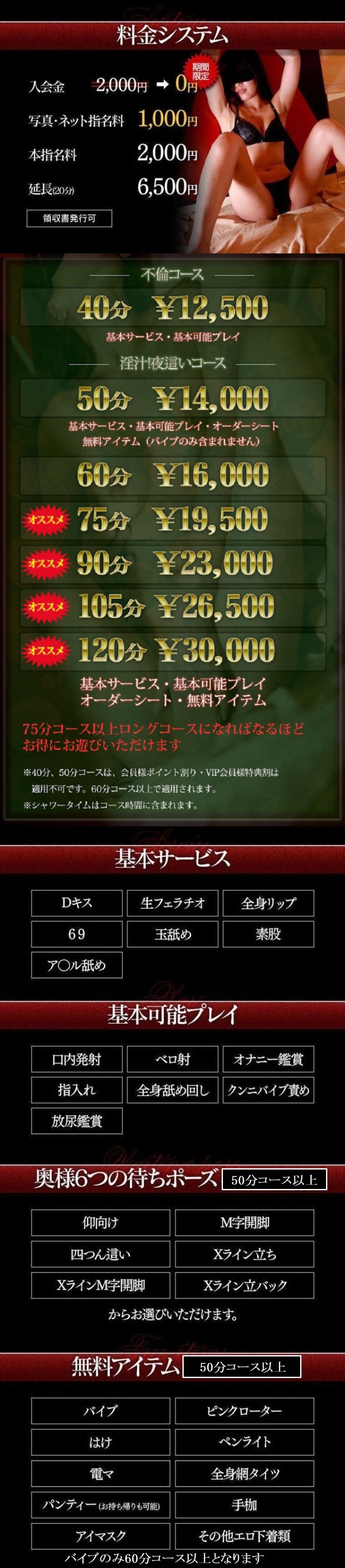 エマニエル＿料金システム1