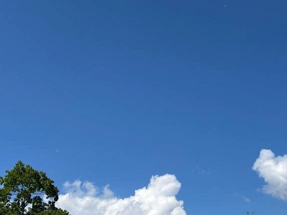 るんるん<img class="emojione" alt="🎶" title=":notes:" src="https://fuzoku.jp/assets/img/emojione/1f3b6.png"/>