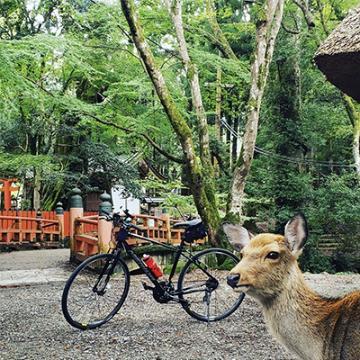 ありがとうございました〜。(^o^)