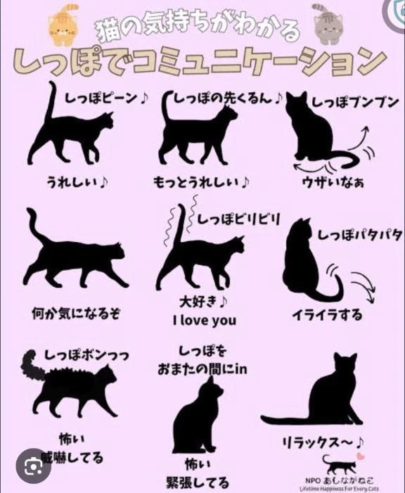 可愛いは楽じゃない