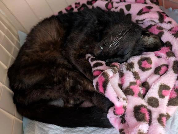 日曜日のお礼が&hellip;。