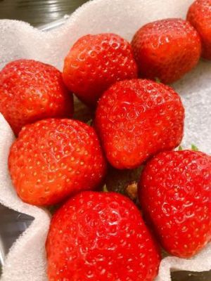 いちご<img class="emojione" alt="🍓" title=":strawberry:" src="https://fuzoku.jp/assets/img/emojione/1f353.png"/>♡