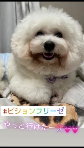 <img class="emojione" alt="🐶" title=":dog:" src="https://fuzoku.jp/assets/img/emojione/1f436.png"/><img class="emojione" alt="🐶" title=":dog:" src="https://fuzoku.jp/assets/img/emojione/1f436.png"/>🫶