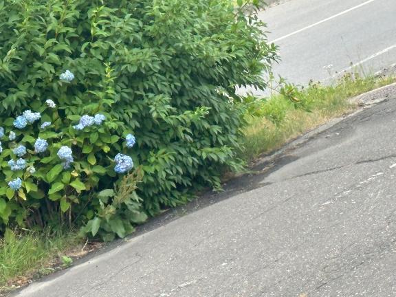 出勤しました！