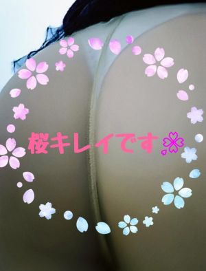<img class="emojione" alt="🌸" title=":cherry_blossom:" src="https://fuzoku.jp/assets/img/emojione/1f338.png"/>桜<img class="emojione" alt="🌸" title=":cherry_blossom:" src="https://fuzoku.jp/assets/img/emojione/1f338.png"/>